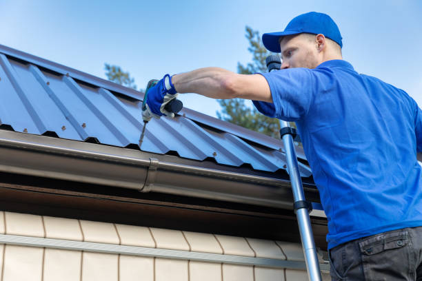 Best Roof Installation  in Winnebago, IL