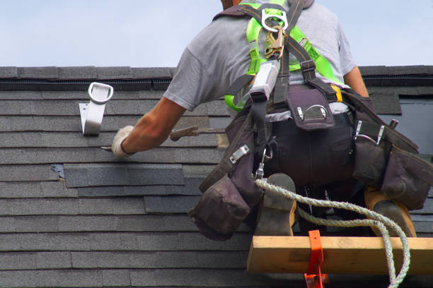 Best Roof Ventilation Installation  in Winnebago, IL
