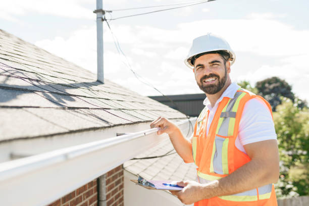 Best Roof Moss and Algae Removal  in Winnebago, IL